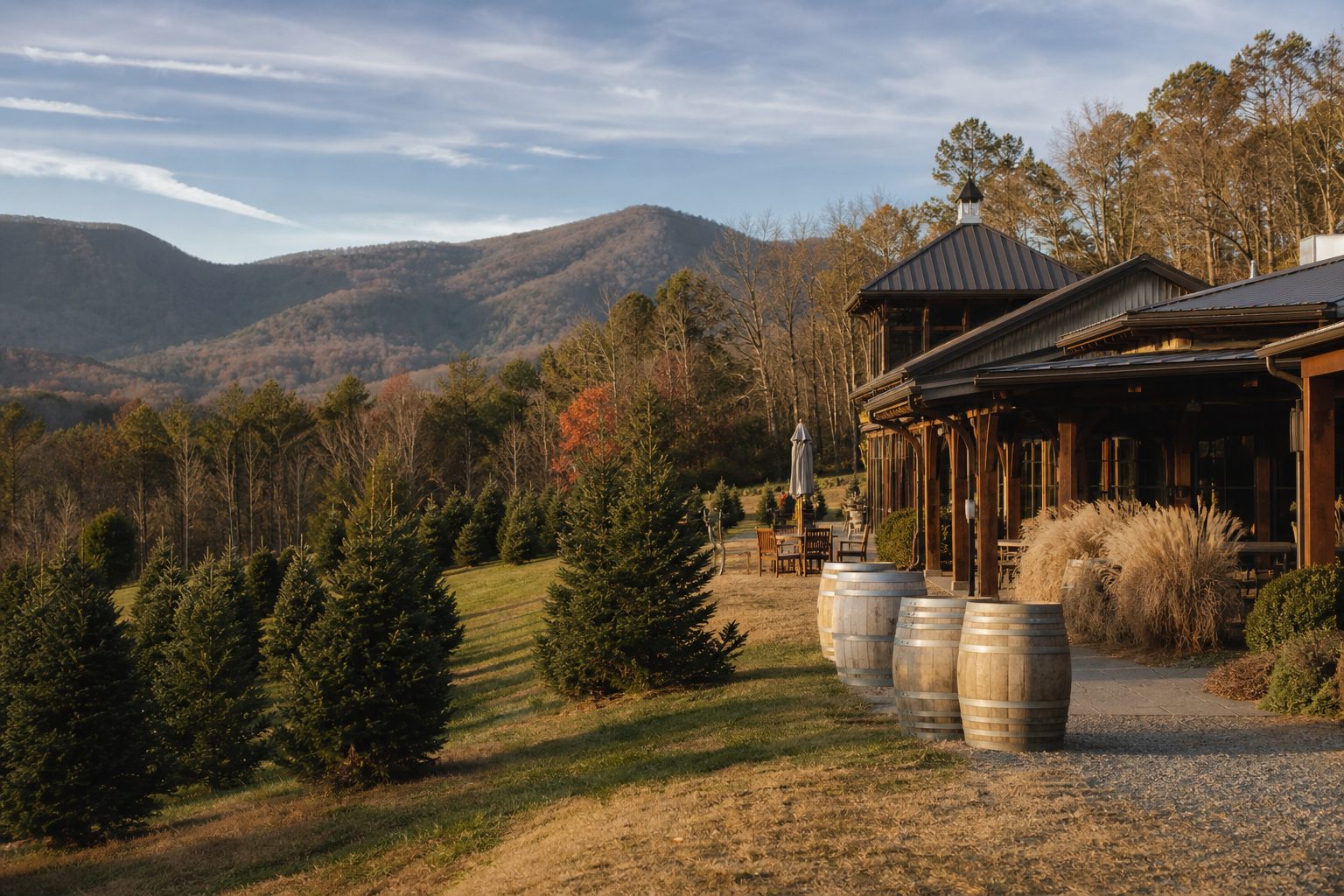 Old Barn Winery — rustic barn winery with Christmas tree farm in West Jefferson NC